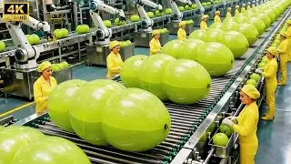 Inside a Modern Amla Factory 🍈 | From Raw Amla Fruits to Finished Products (Full Process)