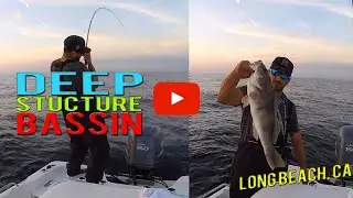 Big Sand Bass and Calico Bass - Fishing Long Beach