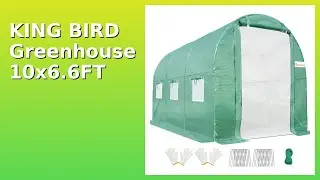 REVIEW (2025): KING BIRD Greenhouse 10x6.6FT. Features.