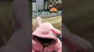 Khushi Ka New dress rabbit dress.#trending Mausi ne diya surprise