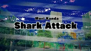 Shark Attack - Tabor Pipe,Ovation Applause UA20 Ukulele,Customized Mridangam,