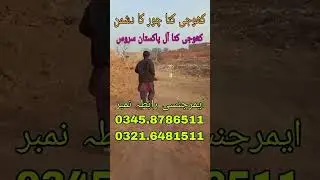 khoji dog centre lahore #khoji dog centre multan# 03458786511