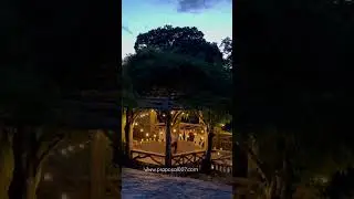 Surprise proposal in Central Park looks soo romantic! #proposal007  #marriageproposal