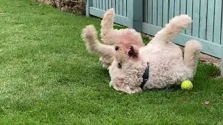 Ted is Ten