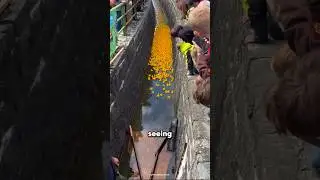 This Duck Race Has a Win $1,000,000 Prize 🦆💰 #shorts
