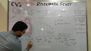 CVS Module - Rheumatic fever part 2