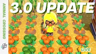 【ACNH 3.0 Island Stuff!】