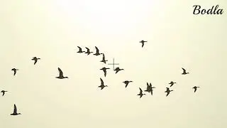 Duck shooting compilation 2020 by Mian Abu Bakar Bodla