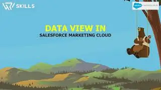 Data Views in Salesforce Marketing Cloud (SFMC) | | Peoplewoo Skills