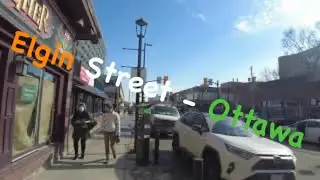 🇨🇦Elgin street in Ottawa. Walking tour