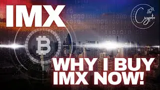 IMX Coin Immutable X - Why I Buy IMX in the Bear Market! Immutable X Cryptocurrency Altcoin!