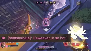 A Lifeweaving Montage