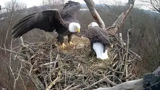 Snapshots   Hanover Eagles Live Cam   HDOnTap &mdash; Mozilla Firefox 2025 12 06 15 00 44