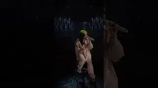 Billie performing &ldquo;when the party&rsquo;s over&rdquo; at the 2020 GRAMMYs.