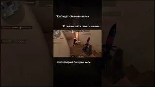 ЖИЗА #snowchill #music #vaenoly #standoff2 #демкавнапарниках #standoff #ios #демка #напарники