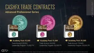 Cash FX Forex Group Story Passive Income Daily
