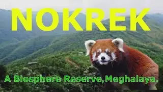 NOKREK Biosphere Reserve :-  A Short Documentary | Meghalaya | Garo Hills |