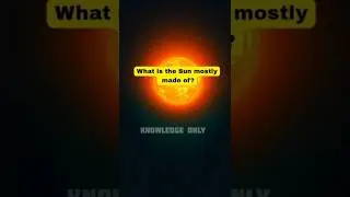 How Well Do You Know the Sun? #shorts  #solarquiz