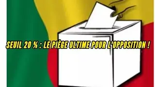 SEUIL DE 20 % : LES PARTIS POLITIQUES VONT ILS SURVIVRE AUX L&Eacute;GISLATIVES ?