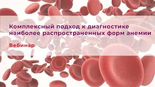 Комплексный подход к диагностике наиболее распространенных форм анемии