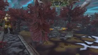 Relaxing Flight Path - Sholazar Basin to Zul'Drak