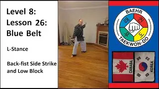 Baehr Taekwondo: Lesson 08-26: Red Stripe: L-Stance - Back-fist Side Strike and Low Block