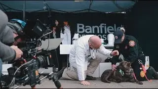 Behind the Scenes of Superpower Dogs | Banfield Pet Hospital