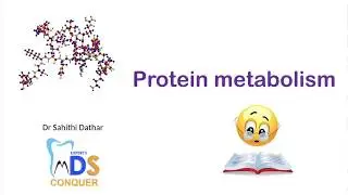 Protein metabolism part 1