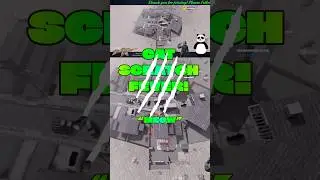 #Meow #Cat #Scratch #Fever #PotUSA #Roy_AL_pro #twitch #codm #codmobile #streamer #funny #kitty