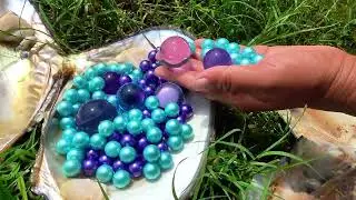 😱Open the purple giant clam, filled with precious purple pearls, so beautiful that it's intoxicating