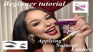 HOW TO APPLY FAKE LASHES FOR BEGINNERS : natural fake lashes edition // cakefacetaye