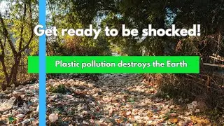 Shocking Facts About Plastic, Waste, and Fast Fashion That Will Leave You Speechless