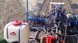 Ploegloos bieten zaaien na mosterd.