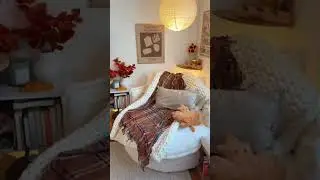 @CozyK