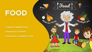 Kids Early Learning | Grade 1 | Science | The Food We Eat
