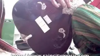 Hiren Roy Vilayat Khan style sitar demo