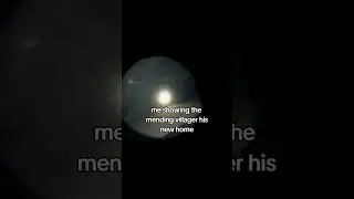 Minecraft Memes & Funny Moments, Villager Trading Hal 