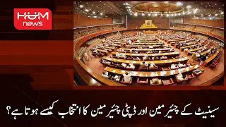 How are the Chairman and Deputy Chairman of the Senate elected?