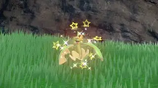 PEV : Pomdrapi (Flapple) Shiny