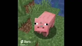 Video game shorts compilation, minecraft, Pok&eacute;mon go and more