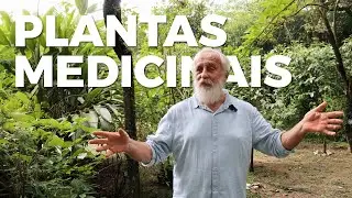 Vida UFSC - M&eacute;dico do HU se dedica a plantas medicinais