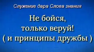 Не бойся, только веруй! ( и принципы дружбы )