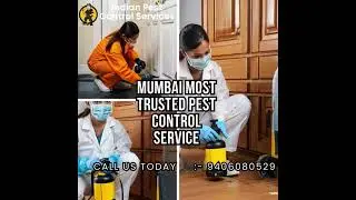 Best pest control service provider | Nearby pest control service in Mumbai. #ecofriendlypestcontrol