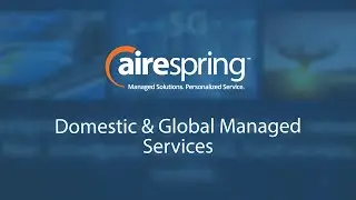 Domestic & Global Managed Services