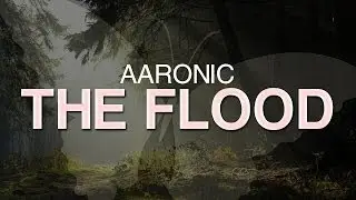 Aaronic - The FLood [Every Day Matters]