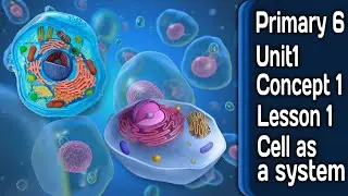 Science .Grade 6 Unit 1 