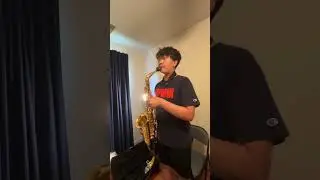 Never Gonna Give You Up - Rick Astley  #alto #altosaxophone #altosax #cover #music #saxophone