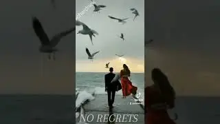 No Regrets - BAD BOYS BLUE 👌