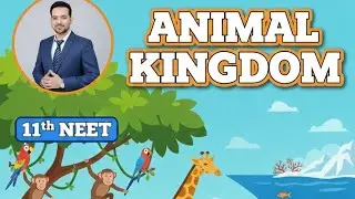 Animal Kingdom Lec 3 | 11th NEET Revision | Coelom | Segmentation | Notochord