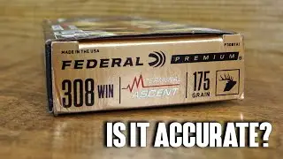 Federal .308 175gr Terminal Ascent (Точно ли это?)
